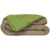 Image de Couette Microfibre 400g/m² Calgary Anis & Nude 140x200cm