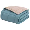 Image de CALGARY - Couette Chaude Microfibre 400gr/m² - Beige Galet & Vert Lac - 220 x 240 cm