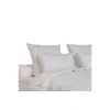 Image de Oreiller Drouault Titanium 65x65 70% Duvet Oie Et Canard