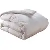 Image de Couette Drouault Plein Ciel 70% Duvet Oie Et Canard