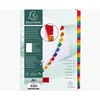 Image de Exacompta 1131e Intercalaire Carton Blanc
