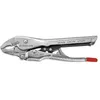 Image de Pince-étau 10 à serrage automatique bec coudé capacité 38mm longueur 250mm - FACOM - 580.10