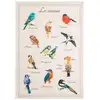 Image de Torchon Imprimé En Métis, Oiseaux - 50 X 75 Cm