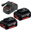 Image de Set 2 batterieS Bosch Professional GBA 18V 5 0Ah + Chargeur GAL 1880 CV - 1600A00B8J