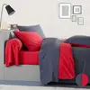 Image de Housse De Couette Bicolore En Viscose De Bambou, Écorce - 240 X 220 Cm - Gris/rouge