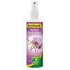 Image de Hydratant Orchidees 250 Ml