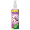 Image de ALGOFLASH Hydratant Orchidées - 250ml