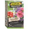 Image de ALGOFLASH NATURASOL Engrais pour Rosiers - 800 g - Favorise la croissance et la floraison