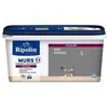 Image de Ripolin peinture couleur velours pour murs, boiseries radiateurs - gris ardoise