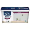 Image de Ripolin peinture couleur velours pour murs, boiseries radiateurs - gris lome