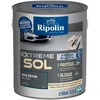 Image de RIPOLIN PROTECTION EXTREME SOL GRIS BETON RAL 70 SATIN 25 L