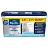 Image de Ripolin sous-couche anti humidité pour préparer vos supports humides avant la mise en peinture -
