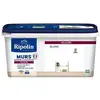 Image de Ripolin peinture blanc velours pour murs, boiseries radiateurs - blanc