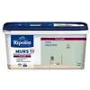 Image de Ripolin peinture couleur velours pour murs, boiseries radiateurs - vert palatino