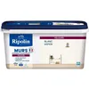 Image de Peinture deco murs boiseries & radiateurs - RIPOLIN - 447161 - Blanc aspen - Velours - 25 L