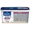 Image de RIPOLIN Peinture Couleur Velours pour Murs Boiseries Radiateurs - Gris galet