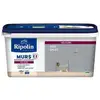 Image de Ripolin peinture couleur velours pour murs, boiseries radiateurs - gris galet
