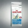 Image de ROYAL CANIN Indoor 27 Adult - aliments secs pour chatons - 400g
