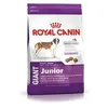 Image de ROYAL CANIN GIANT JUNIOR 15KG