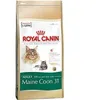 Image de Croquettes pour chat Maine Coon 31 - Royal Canin - 2 kg - Alimentation pour chat adulte de grande taille