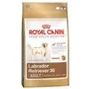 Image de Labrador Retriever Adult 3 KG