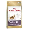 Image de Cocker 3 KG