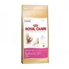 Image de Croquettes - Royal Canin - Sphynx 33 - Aliment complet - 2 kg - Chats adultes