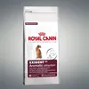Image de Croquette pour chien - ROYAL CANIN - EXIGENT Aromatic - 400g