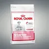 Image de Croquettes pour chiot et chienne gestante/lactante - MEDIUM STARTER 4KG