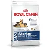 Image de Croquettes chien et chiot MAXI STARTER - 15 KG