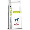 Image de Croquettes - Royal Canin - Diabetic - 7kg - Régule la glycémie - Maintient la masse musculaire