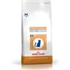 Image de Royal Canin Health Management Cat Mature Consult Balance Croquettes 35kg