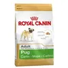 Image de Carlin (Pug) 3 KG