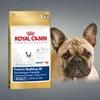 Image de French bulldog junior adult 3kg
