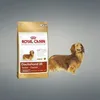 Image de Aliment - ROYAL CANIN - Dachshund 28 - Croquettes pour Teckel - 7.5 kg - Protection articulaire