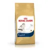Image de Croquettes pour Chat - Royal Canin - Ragdoll - Aliment complet - 2Kg - Adulte 1-12 ans