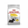 Image de Croquettes Royal Canin Mini Dermacomfort Sac 8 kg