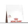 Image de Royal Canin Gastro Intestinal Kitten - Aliment diététique pour chatons 2 kg
