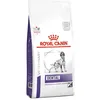 Image de Royal Canin Veterinary Dental Medium & Large Dogs - Croquettes pour chien