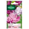 Image de Sachet Graines Cosmos Psyché Varié