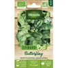 Image de Vilmorin Epinard Butterflay - BIO