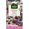 Image de Vilmorin Rudbeckia Pourpre Magnus