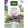 Image de Graine - Vilmorin - Pois Grimpant Capucine (Blauwshokker) - 20 m