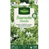 Image de Graine - Vilmorin - Bourrache Blanche
