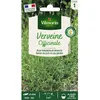 Image de Graine - Vilmorin - Verveine Officinale