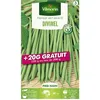 Image de Graine - Vilmorin - Haricot Nain Vert Divinel + 20 g Offert