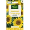 Image de Graines - Vilmorin - Tournesol Golden Hedge