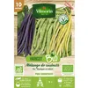 Image de Graine - Vilmorin - Haricot Grimpant en Mélange de Couleurs - 10 m - BIO