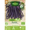 Image de Graine - Vilmorin - Haricot Blauhilde - BIO