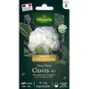 Image de Vilmorin Chou-fleur Clovis F1 - Graines dException